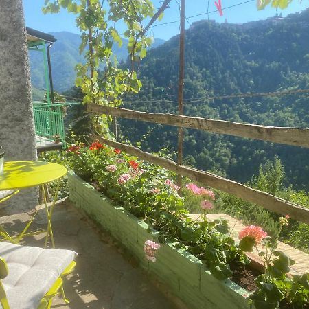 Villa A Ca' Da Zia à Corte  Extérieur photo